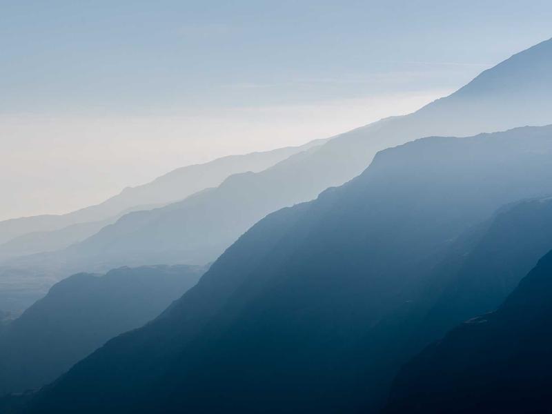 宠医在线<br>宠物健康与基因测序咨询